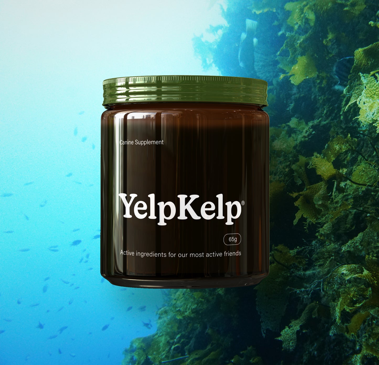 YelpKelp Supplement